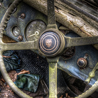 Buy canvas prints of Old cat wheel by Nathan Wright