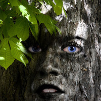 Buy canvas prints of Tree woman by Nathan Wright