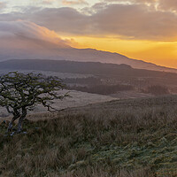 Buy canvas prints of Moel Siabod sunrise by Rory Trappe