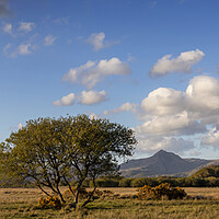 Buy canvas prints of From Yr Wyddfa to Moelwyn Bach Panoramic by Rory Trappe