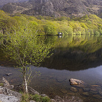 Buy canvas prints of A spring morning at Llyn Dinas by Rory Trappe
