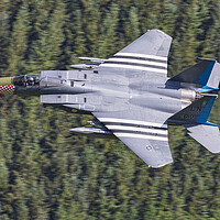 Buy canvas prints of F15C- The Grim Reapers by Rory Trappe