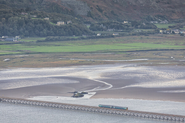 Train crossing Barmouth bridge Picture Board by Rory Trappe