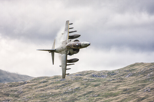 RAF Harrier entering a low flying area. Picture Board by Rory Trappe