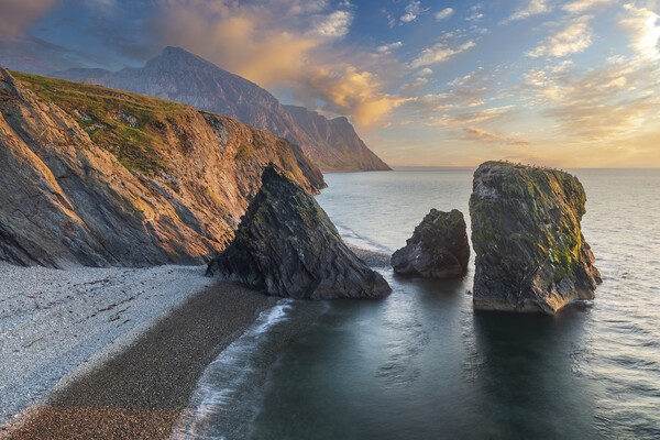 Sea stacks at Trefor on the Llyn Peninsula Picture Board by Rory Trappe