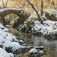 Buy canvas prints of Penmachno Packhorse bridge by Rory Trappe