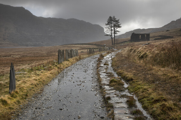 Cwmorthin storm Picture Board by Rory Trappe