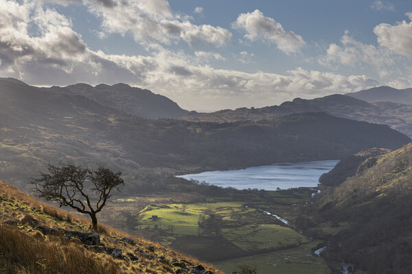 Llyn Gwynant Picture Board by Rory Trappe