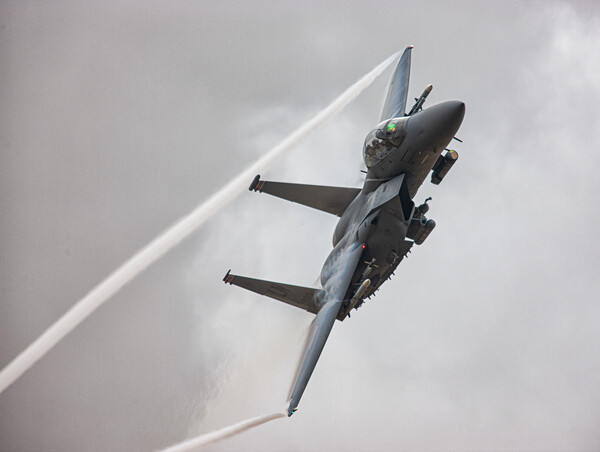 F15-Eagle Picture Board by Rory Trappe
