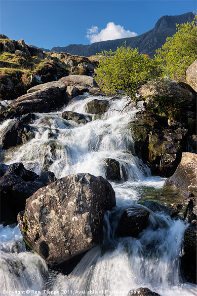 Afon Idwal Picture Board by Rory Trappe