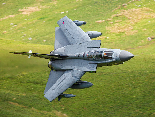 41(R) Squadron RAF Tornado Rebel 87 on the Mach Lo Picture Board by Rory Trappe
