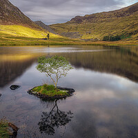 Buy canvas prints of Cwmorthin by Rory Trappe