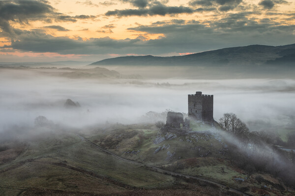 Dolwyddelan castle at dawn Picture Board by Rory Trappe