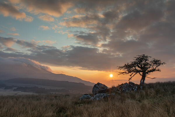 Sunrise in Snowdonia Picture Board by Rory Trappe