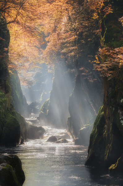 Fairy Glen at Betws y Coed Picture Board by Rory Trappe