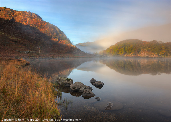 Rising mist over Llyn Dinas Picture Board by Rory Trappe