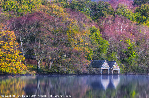 Boat houses on Llyn Dinas Picture Board by Rory Trappe