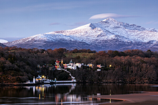 Portmeirion with Snowdon in the background Picture Board by Rory Trappe