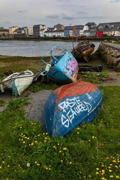 Galway fishing boats Picture Board by Rory Trappe