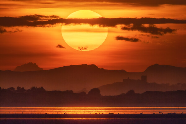 Sunset behind Criccieth castle Picture Board by Rory Trappe