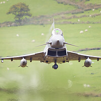 Buy canvas prints of RAF Typhoon head on by Rory Trappe