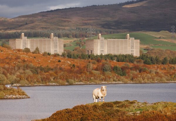 Trawsfynydd Nuclear power station Picture Board by Rory Trappe