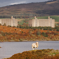 Buy canvas prints of Trawsfynydd Nuclear power station by Rory Trappe