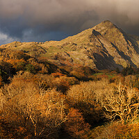 Buy canvas prints of A mountain in wales called Cnicht by Rory Trappe