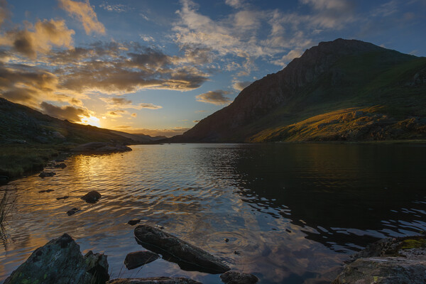Tryfan at sunrise Picture Board by Rory Trappe