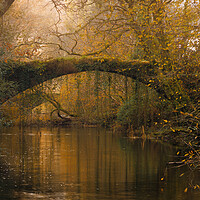 Buy canvas prints of Ivy bridge - Maentwrog by Rory Trappe