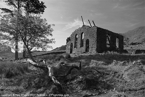 Cwmorthin chapel remains Picture Board by Rory Trappe
