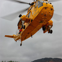 Buy canvas prints of Raf Seaking - Mountain rescue by Rory Trappe