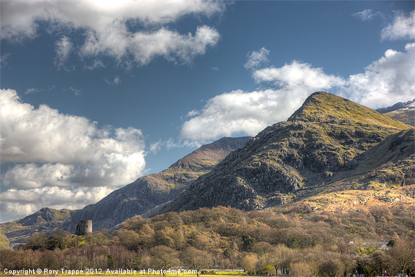 Dolbadarn castle Picture Board by Rory Trappe