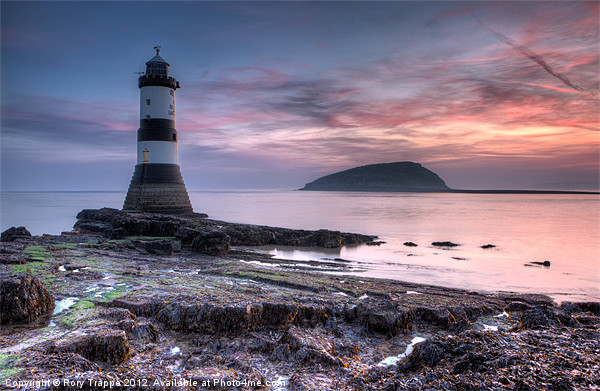 Penmon point Picture Board by Rory Trappe