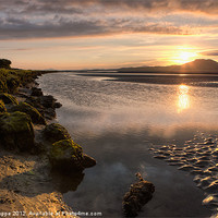 Buy canvas prints of Ynys by Rory Trappe