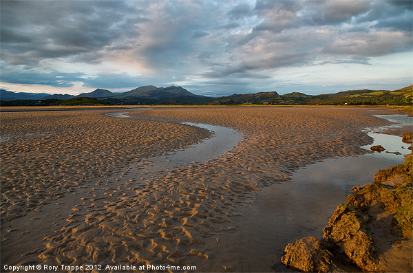 Ynys - View towards the Moelwyn range Picture Board by Rory Trappe