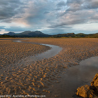 Buy canvas prints of Ynys - View towards the Moelwyn range by Rory Trappe
