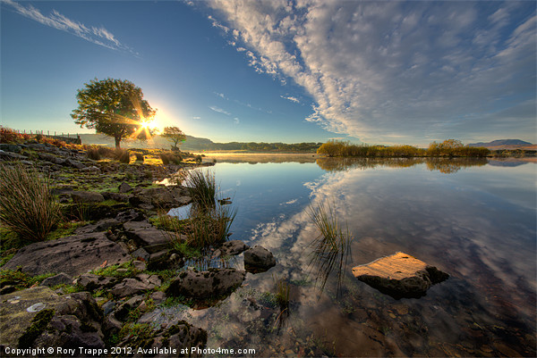 Llyn Trawsfynydd into the sun Picture Board by Rory Trappe