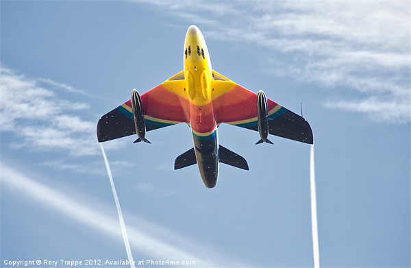 Miss Demeanour Picture Board by Rory Trappe