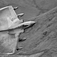 Buy canvas prints of Tornado Gr4 by Rory Trappe