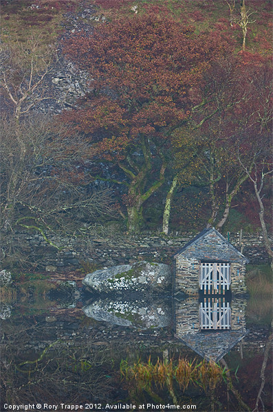 A boathouse on Llyn Dinas Picture Board by Rory Trappe