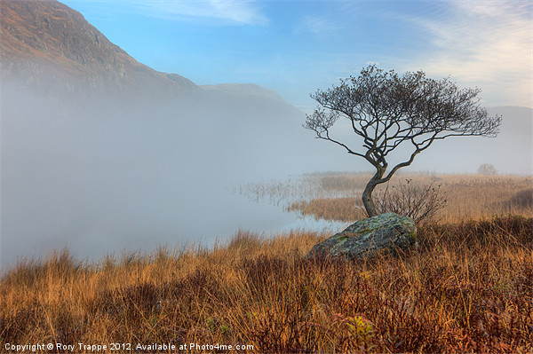 Llyn Dinas misty morning Picture Board by Rory Trappe