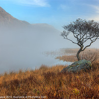 Buy canvas prints of Llyn Dinas misty morning by Rory Trappe