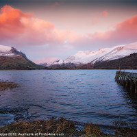 Buy canvas prints of Llyn Nantlle Uchaf evening by Rory Trappe
