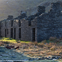 Buy canvas prints of Rhosydd terrace by Rory Trappe