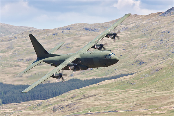 Hercules low flying in Wales Picture Board by Rory Trappe