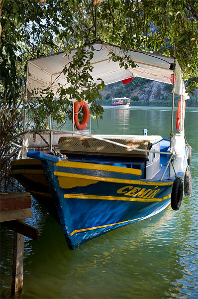 Dalyan river boat Picture Board by Rory Trappe