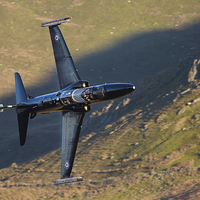 Buy canvas prints of BAE Hawk T2 by Rory Trappe