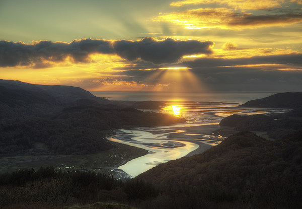 Mawddach sunset Picture Board by Rory Trappe