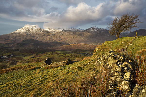 Snow on the Moelwyn Picture Board by Rory Trappe